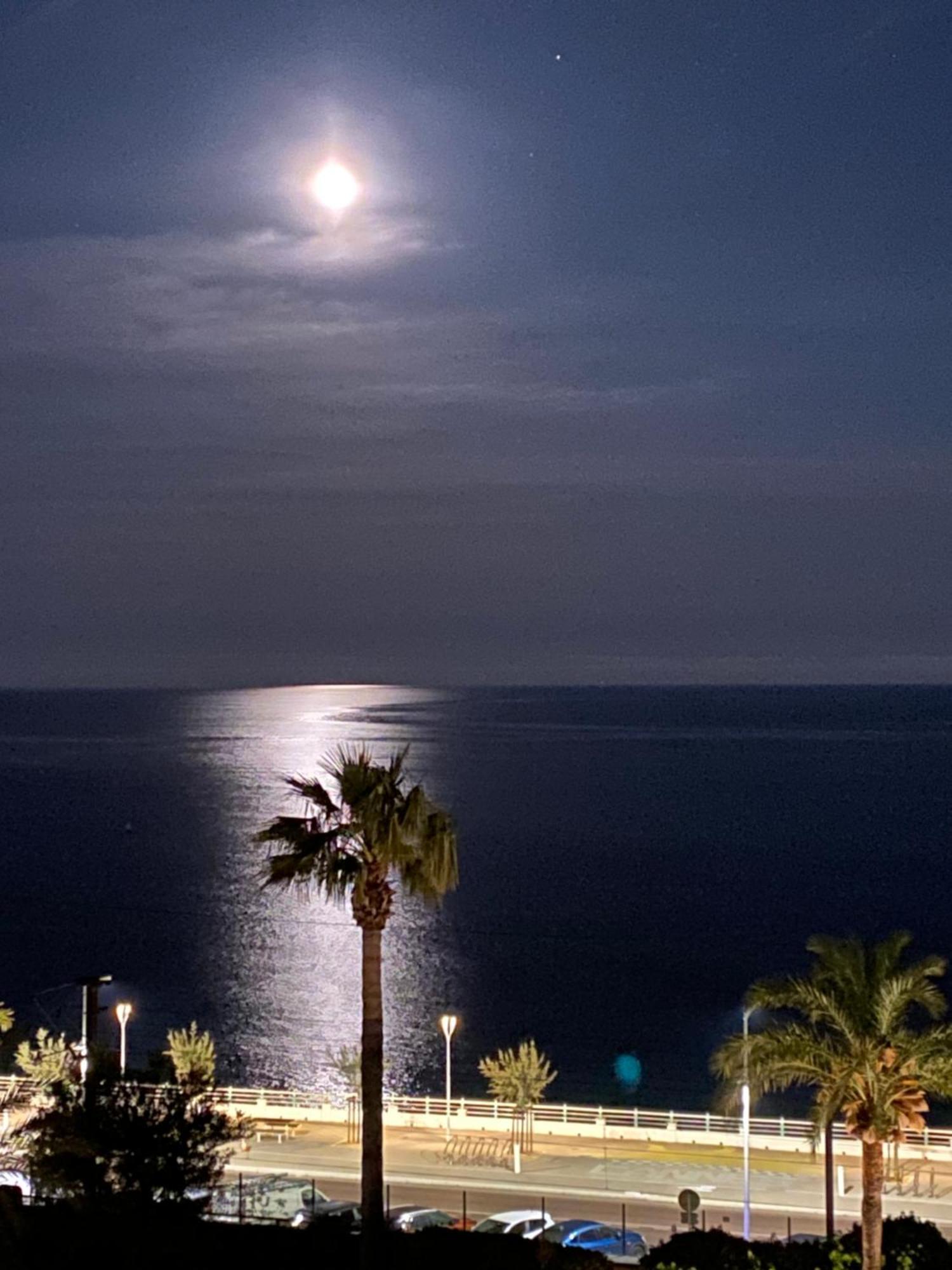 Bord De Mer, Terrasse, Tout A Pieds Cannes Esterno foto